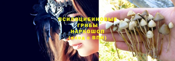 индика Магадан