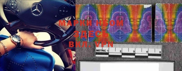 индика Магадан