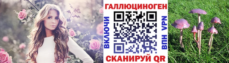 Псилоцибиновые грибы Magic Shrooms  Дрезна 
